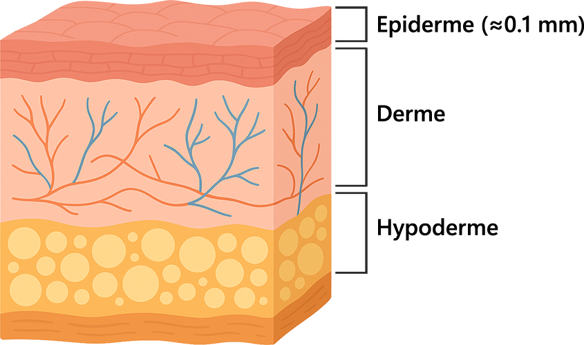 prolonger bonzage couche peau